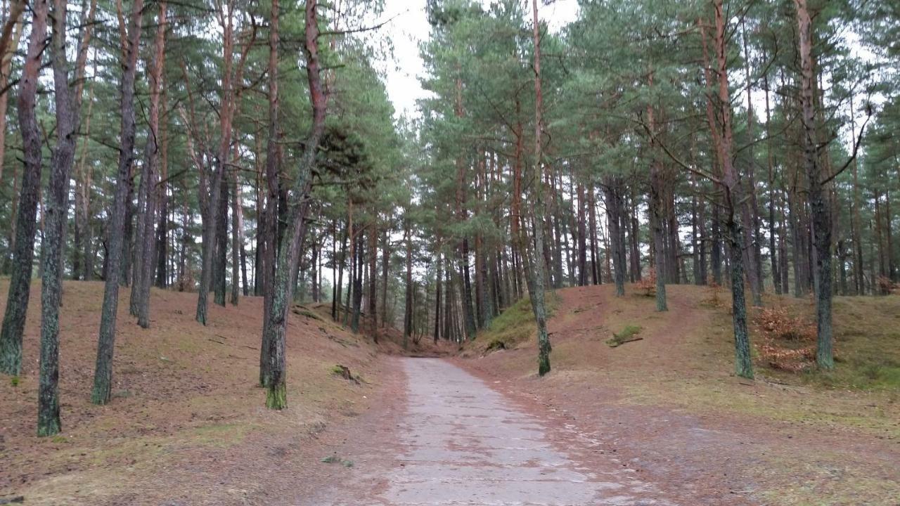Apartament Nr 39 Baltic Park Stegna  Zewnętrze zdjęcie
